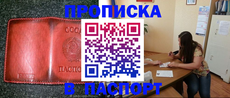 прописка поиск в Северске